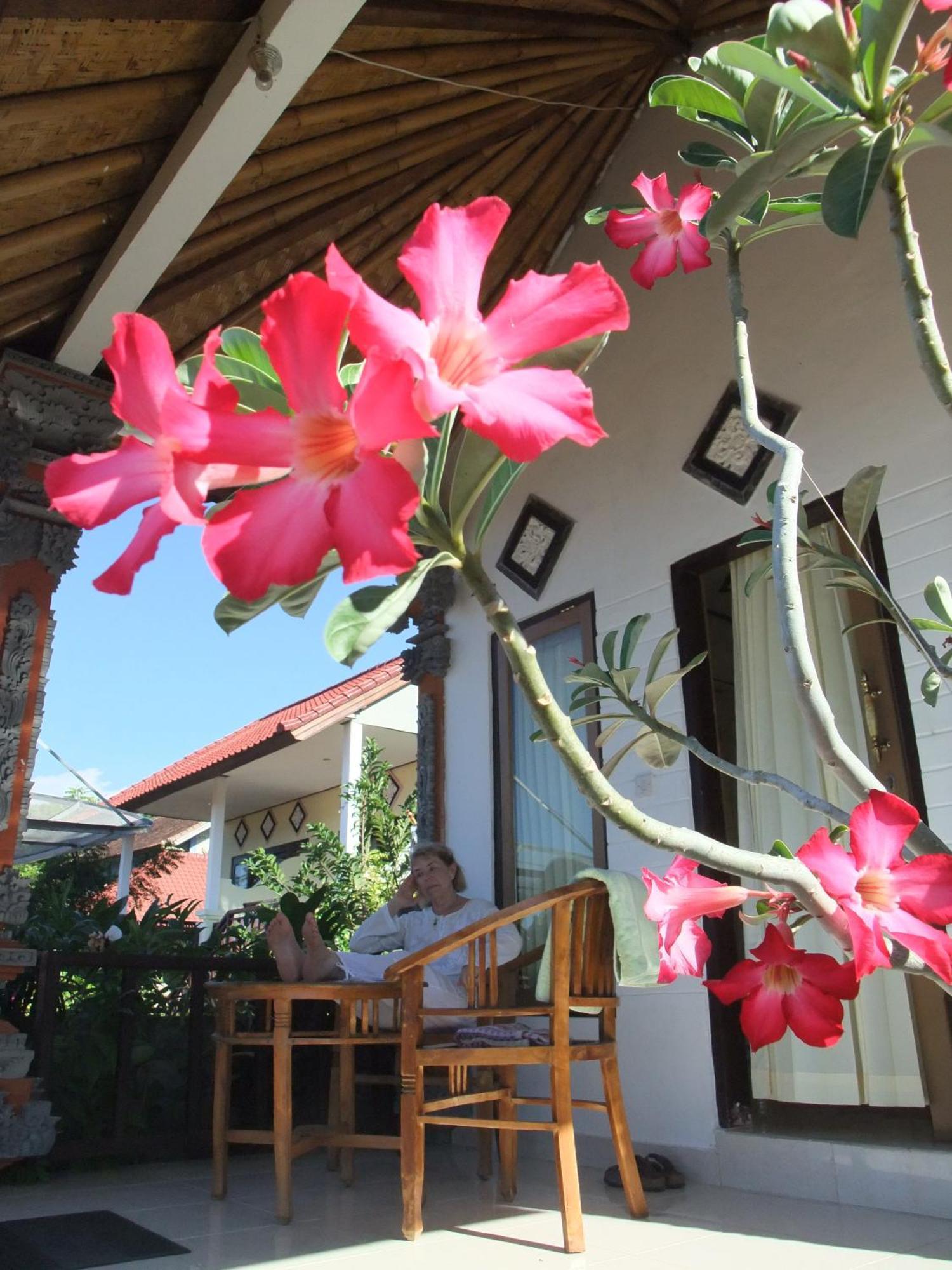 אמד Bukit Indah Homestay מראה חיצוני תמונה